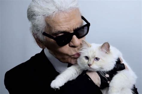 what does choupette mean in french
